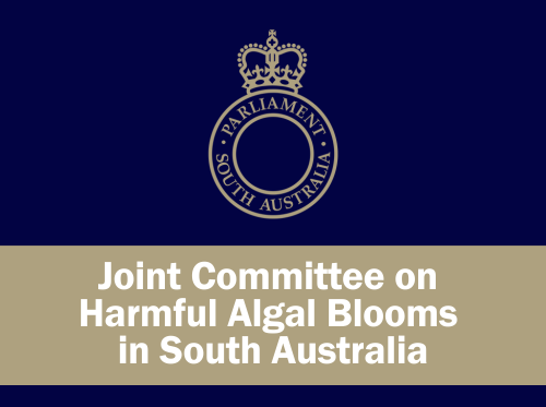 Joint Committee on Harmful Algal Blooms in SA
