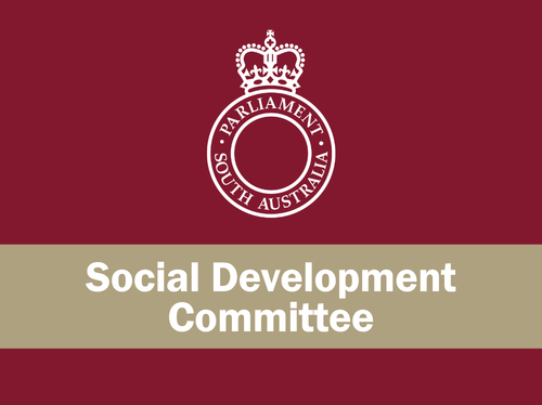 Social Development Committee Web Graphic